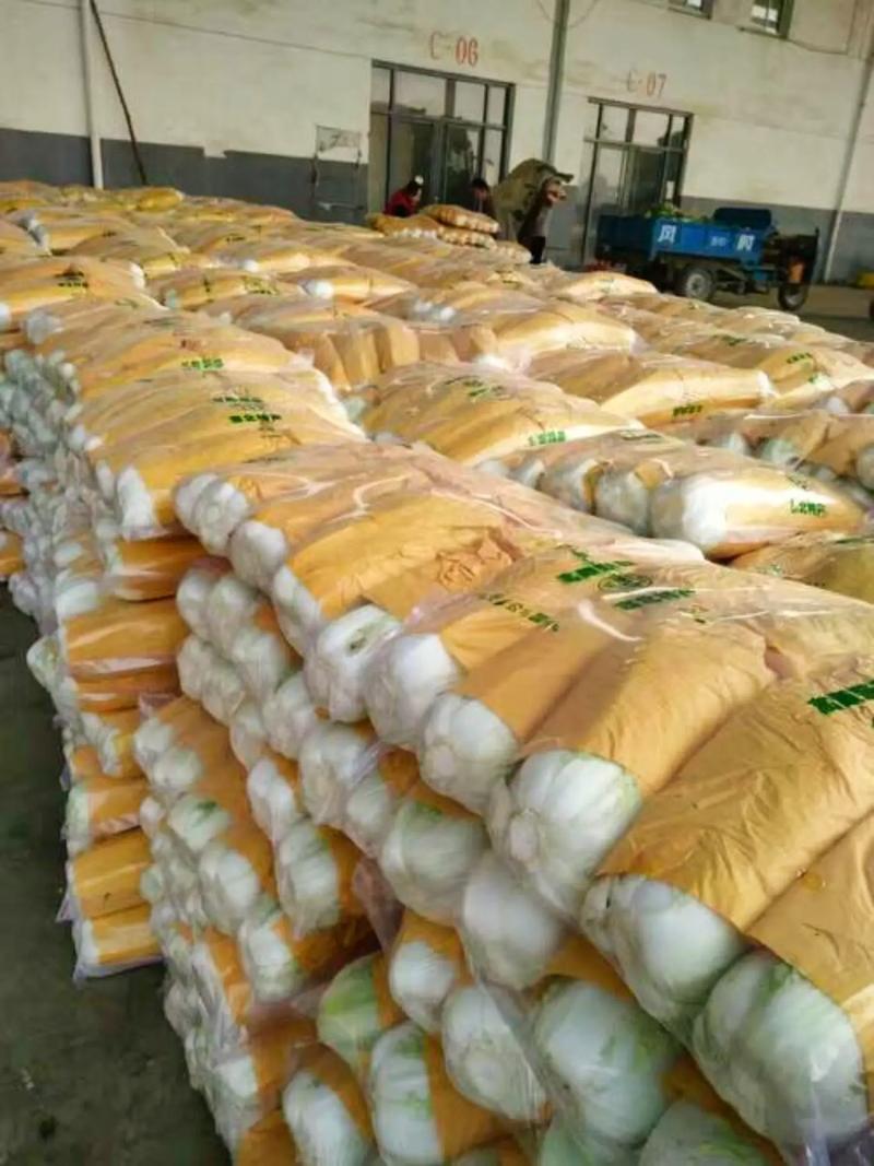專業蔬菜批發配送服務 為工廠、學校、醫院食堂提供新鮮保障